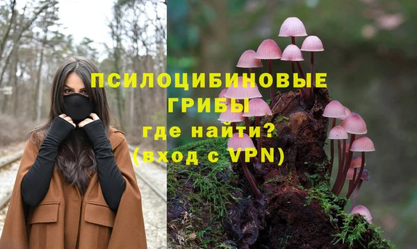 не бодяженный Бородино
